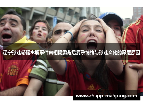 辽宁球迷怒砸水瓶事件真相揭露背后复杂情绪与球迷文化的深层原因
