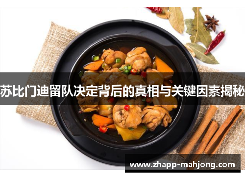 苏比门迪留队决定背后的真相与关键因素揭秘