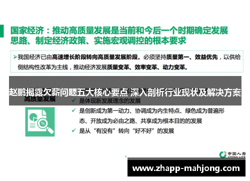 赵鹏揭露欠薪问题五大核心要点 深入剖析行业现状及解决方案
