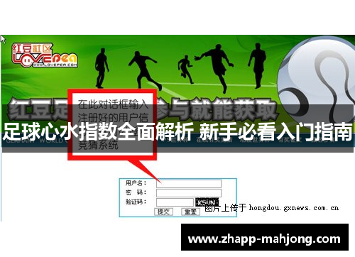 足球心水指数全面解析 新手必看入门指南