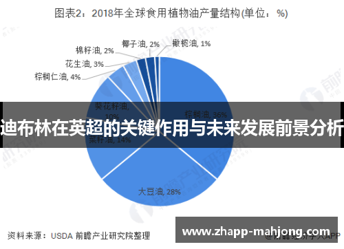 迪布林在英超的关键作用与未来发展前景分析