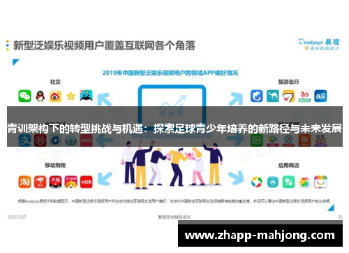 青训架构下的转型挑战与机遇：探索足球青少年培养的新路径与未来发展