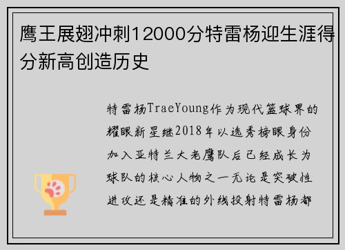 鹰王展翅冲刺12000分特雷杨迎生涯得分新高创造历史 鹰王展翅冲刺12000分特雷杨迎生涯得分新高创造历史