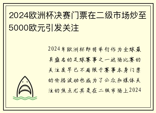 2024欧洲杯决赛门票在二级市场炒至5000欧元引发关注