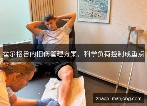 霍尔格鲁内旧伤管理方案,科学负荷控制成重点 霍尔格鲁内旧伤管理方案,科学负荷控制成重点